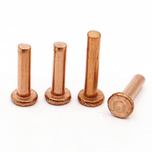1-50 Stück GB109 Kupfer-Vollnieten Schlag-Flachkopfnieten Flachkopf-Kupfernieten Massivmessingnieten M1,5 M2,0 M2,5 M3 M4 M5 M6 M8-20 mm, M2,5 20 Stück von GNHHMGT