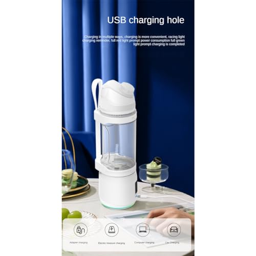 GNURBDILFO Tragbarer Mixer, Personal Blender für Shakes und Smoothies, Eismixer für die Küche, Mini-Entsafter, 700 Ml von GNURBDILFO