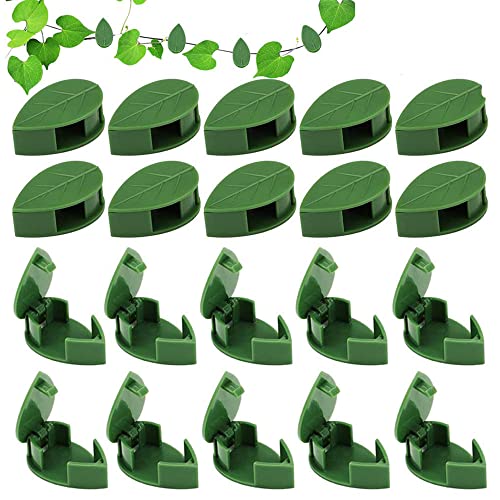 Pflanzenclips für Kletterpflanzen wand, 50 Stück Rankhilfehalter Pflanzenclips, wiederverwendbare unsichtbare selbstklebende klebrige Acrylhalterung für die Aufbewahrung von Gartenpflanzen Stängel Pflanzenclips für Kletterpflanzen wand, 50 Stück Rankhilfehalter Pflanzenclips, wiederverwendbare unsichtbare selbstklebende klebrige Acrylhalterung für die Aufbewahrung von Gartenpflanzen Stängel von GOCOHHI