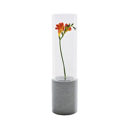 GODELMANN Vase aus hochwertigem Beton - handgefertigt Ø 10cm x Höhe 38cm in Grau I Blumenvase mit passgenauem Glas - mineralimprägniert - Made in Germany von GODELMANN