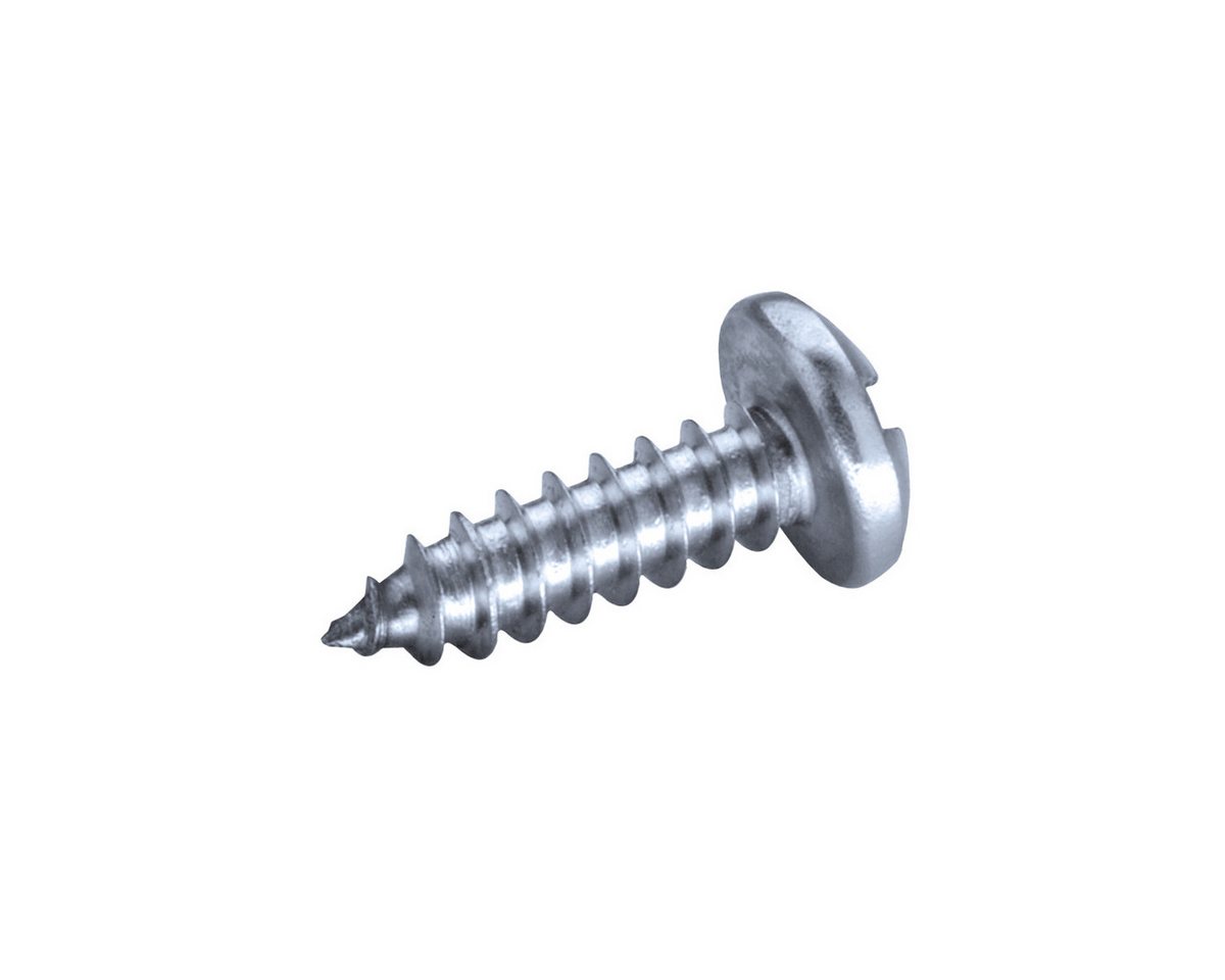 GOEBEL GmbH Blechschraube Blechschrauben 4,8 x 13 Stahl Schrauben, (1000x Linsenkopf Innenvierkant (SQ) 4,8 x 13 mm Stahl verzinkt, 1000 St., mit Längsschlitz), Profi-Industrie-Qualität für Gewerbliche und private Verwendung von GOEBEL GmbH