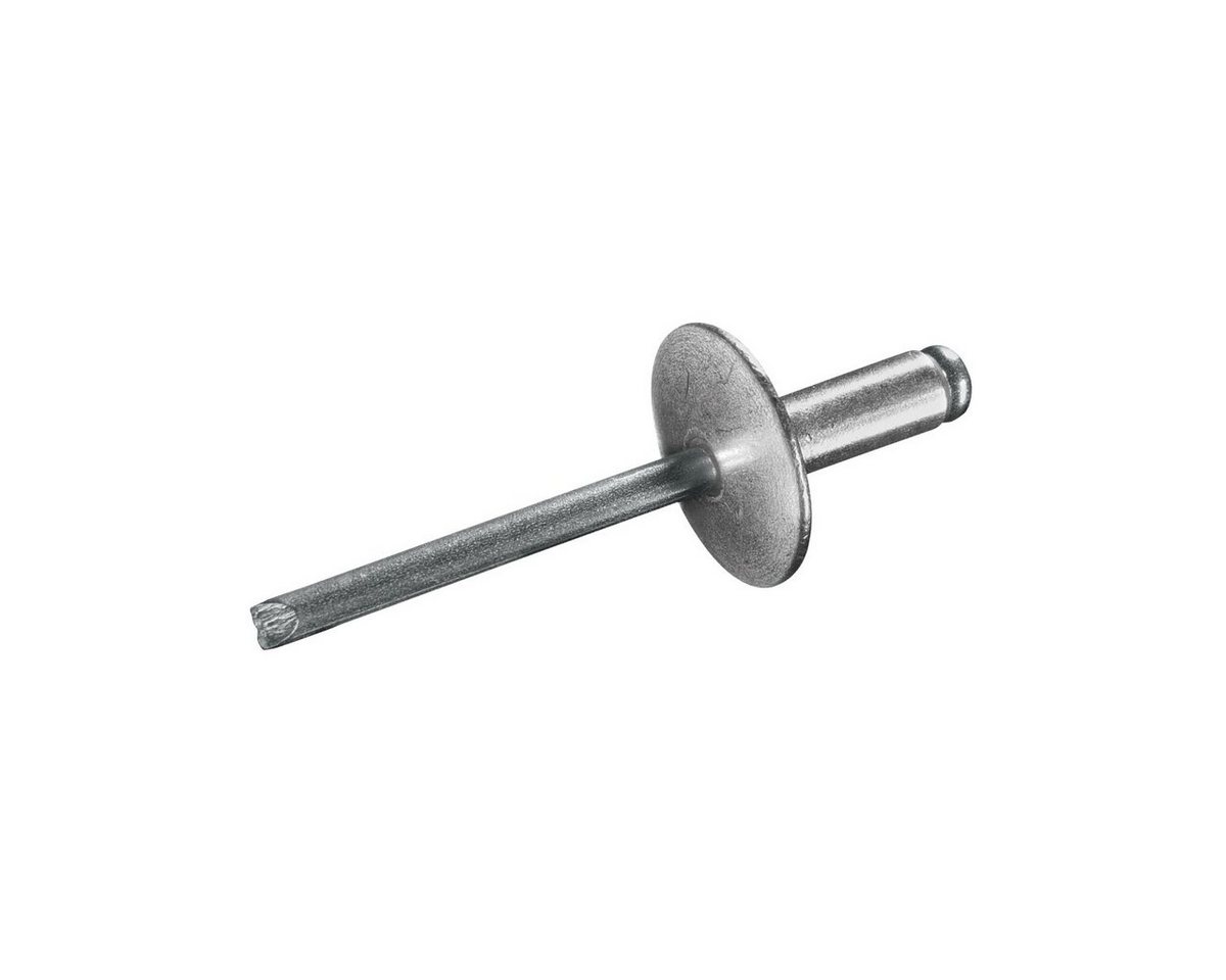 GOEBEL GmbH Blindniete 7072140600, (500x Großkopf - Aluminium / Stahl - 4,0 x 6,0 mm mit Großkopf, 500 St., Großkopf Niete – Blindniete -Popniete), STANDARD von GOEBEL GmbH