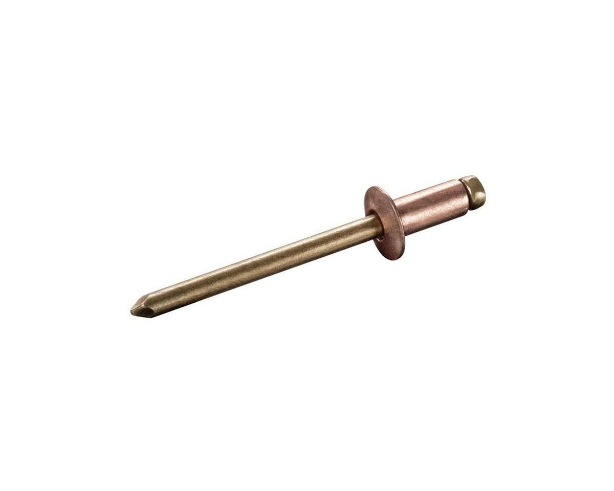 GOEBEL GmbH Blindniete 7090132502, (1000x Flachkopf - Kupfer Legierung / Bronze - 3,2 x 5,0 mm, 1000 St., Flachkopf Niete - Popniete), ISO16582 STANDARD von GOEBEL GmbH