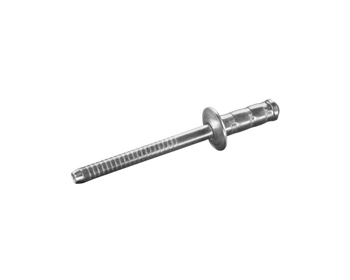 GOEBEL GmbH Blindniete 7770132800, (1000x Mehrbereichsblindniete - Flachkopf - Aluminium / Stahl - 3,2 x 8,0 mm, 1000 St., Flachkopf Niete - Mehrbereich Blindniete - Mehrbereichsblindniete), MULTI Mehrbereichsniete - Mehrbereich Niete von GOEBEL GmbH