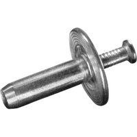 250 x Hammerschlagblindnieten Aluminium / Edelstahl A2 (V2A) (ø x l) 4,8 x 45,0 mm mit Flachkopf - Hammerschlag-Blindnieten - Nieten - hammer - Goebel von GOEBEL