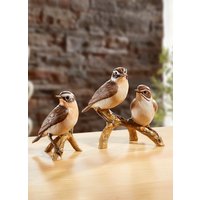 Braunkehlchen - Vogel des Jahres 2023 Braunkehlchen - Vogel des Jahres 2023 von GOEBEL