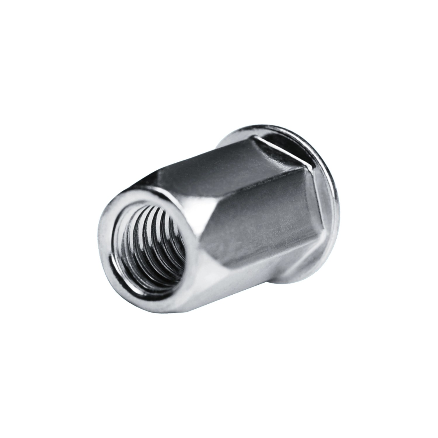 GOEBEL 250 Blindmuttern M4 Stahl Verzinkt 6,0 x 11,5 mm Flachkopf Schaftende Offen Muttern Setzmutter Go-Nut GOEBEL 250 Blindmuttern M4 Stahl Verzinkt 6,0 x 11,5 mm Flachkopf Schaftende Offen Muttern Setzmutter Go-Nut von GOEBEL