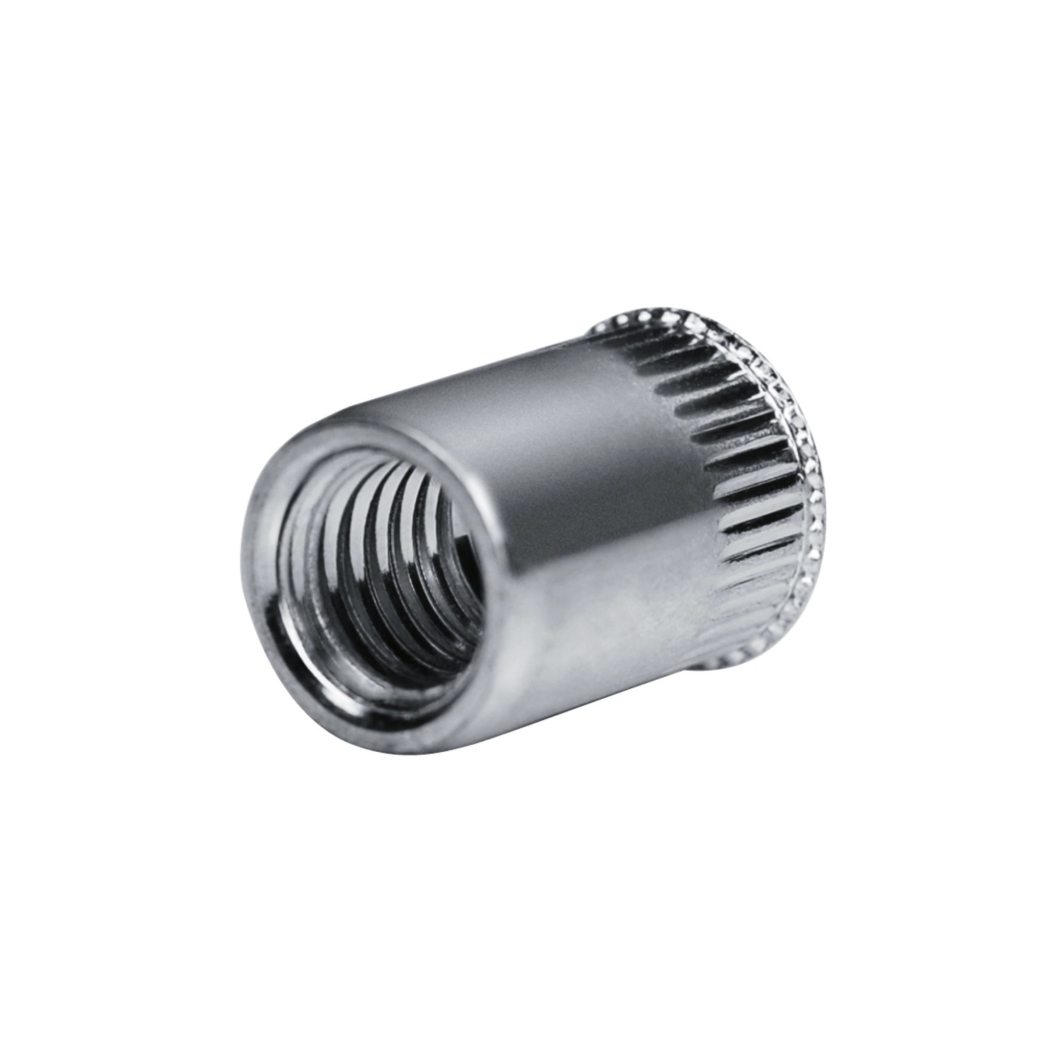 GOEBEL 250 Blindnietmuttern Nietmuttern M5 Stahl Verzinkt 6,9 x 13,0 mm Senkkopf Offen Muttern Setzmutter Go-Nut GOEBEL 250 Blindnietmuttern Nietmuttern M5 Stahl Verzinkt 6,9 x 13,0 mm Senkkopf Offen Muttern Setzmutter Go-Nut von GOEBEL