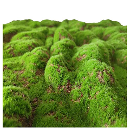 GOFQB Künstliche Moosmatte Grüne Pflanze Kunstgras Künstliche Sod Moos Matte 1X1M für Garten, Balkon, Terrasse (Color : A, Size : 1X1M) von GOFQB