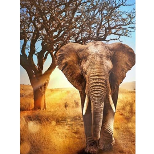 GOGHSCEK Diamond Painting Bilder Elefant, 5D Diamond Painting Diamant Painting Bilder Erwachsene Tiere, DIY Diamant Malerei Bilder Erwachsene Set 30x40cm Elefant bei Sonnenuntergang für Dekoration von GOGHSCEK