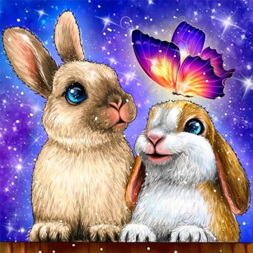 GOGHSCEK Diamond Painting Bilder Hase, 5D Diamond Painting Diamant Painting Bilder Erwachsene Tiere, DIY Diamant Malerei Bilder Erwachsene Hase Set 30x30cm Hase und Schmetterling für Dekoration von GOGHSCEK