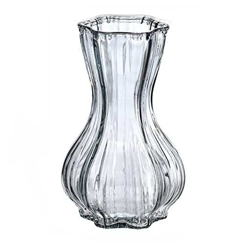 GOGIFTGO Glas-Blumenvasen, transparente Blumenvase für Hydrokultur-Pflanze oder Pampas, 20.5 cm, klare Glasvase für Bauernhaus-Dekoration, dekorative Wasserglasflasche, Büro, Hochzeit (graue Farbe) von GOGIFTGO