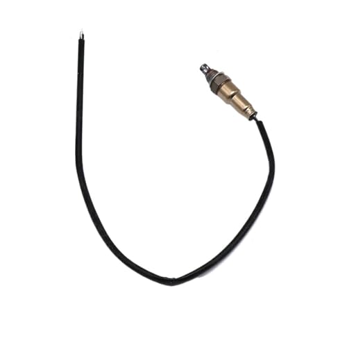 Lambdasensor ZS Racing 2 Drähte M12 Universal Motorrad Sauerstoffsensor Für 36532-KPN-A71 Lambdasensor ZS Racing 2 Drähte M12 Universal Motorrad Sauerstoffsensor Für 36532-KPN-A71 von GOINTDJD