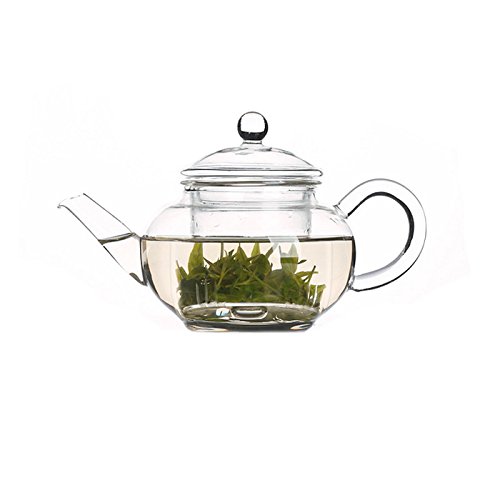 GOLDBEARUK Klare Glas-Teekanne mit Sieb, 400 ml - Transparent von GOLDBEARUK