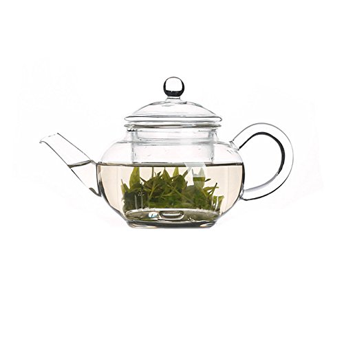 Teekanne aus klarem Glas mit Teesieb, klein, 250 ml von GOLDBEARUK