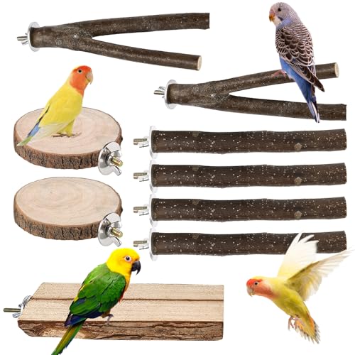 9 Stück Naturholz Vogel Sitzstangen, Natur Sitzstangen Set für Vögel, Vogelspielzeug, Sitzstangen Vögel, Sittichsitzstange, Holzständer, Wellensittichsitzstange für Wellensittich Nymphensittich von GOMETY