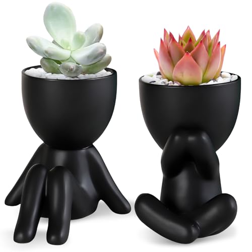 2 Stück Künstliche Sukkulenten, Kunstpflanze mit Schwarz, Keramik Topf kleine künstliche Pflanzen, Moderne Keramiktöpfe, Mini-Kunstpflanze für Badezimmer Aesthetic Regal Tischdeko Bücherregal von GOMETY