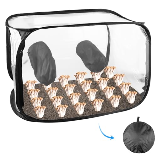 Stillluftbox für Pilze mit 2 Arm Ports, 90x60x60cm Still Air Box Pilze züchten Set Kompakte Standluftbox Pilzzucht Pilzzuchtzelt Faltbare Pilze züchten Set für Pilzliebhaber Gartenbaubedarf von GOMETY