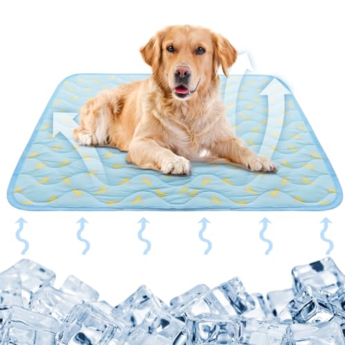 Kühlmatte für Hunde, 70x55cm Selbstkühlende Hundematte, Hundeboxmatte Rutschfeste, Haustier Kühldecke Hundebett, Waschbar Kühlkissen Kühlende Hundedecke Weiche für Hasen Katzen und Hunde (Banane) von GOMETY