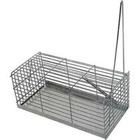 Gomez Y Crespo - Capture- und Muse erfassen Kfig - 30 cm Gomez Y Crespo - Capture- und Muse erfassen Kfig - 30 cm von GOMEZ Y CRESPO