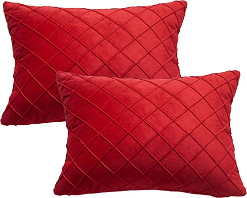 GONOVE Kissenbezug 30 x 50 cm Weicher Samt Zierkissenbezüge 2er Set Quadratische Dekokissenbezüge Kissenhüllen Dekorative Gitter Raute Kissenbezüge Beschützer für Zuhause Couch Sofa von GONOVE