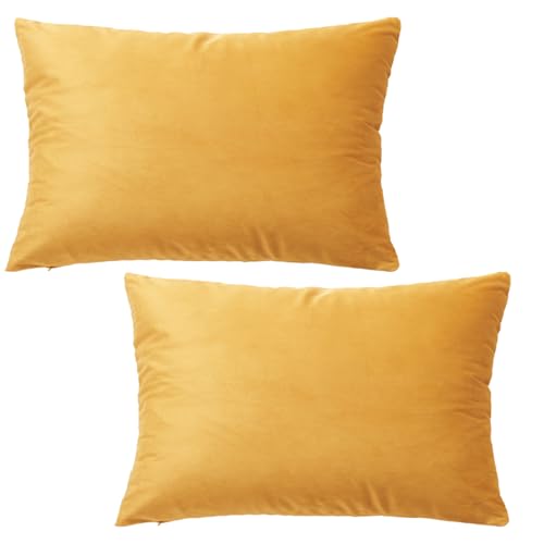 GONOVE Kissenbezug 30x50cm Dekorative Wurf Kissenbezug 2er Set Samt Weiche Kissenbezüge Dekokissenbezug Sofakissen Couchkissen Kissenhülle für Wohnzimmer Sofa Schlafzimmer von GONOVE
