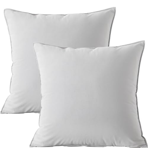 GONOVE Kissenbezug 40x40cm Dekorative Weiche Samt Kissenhülle mit Flanschkanten Dekokissen Sofakissen Moderne Kissenbezüge 2er Set Zierkissenbezüge für Home Sofa Schlafzimmer Dekor GONOVE Kissenbezug 40x40cm Dekorative Weiche Samt Kissenhülle mit Flanschkanten Dekokissen Sofakissen Moderne Kissenbezüge 2er Set Zierkissenbezüge für Home Sofa Schlafzimmer Dekor von GONOVE