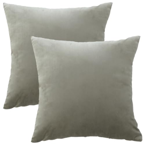 GONOVE Kissenbezug 45x45cm Dekorative Wurf Kissenbezug 2er Set Samt Weiche Kissenbezüge Dekokissenbezug Sofakissen Couchkissen Kissenhülle für Wohnzimmer Sofa Schlafzimmer von GONOVE