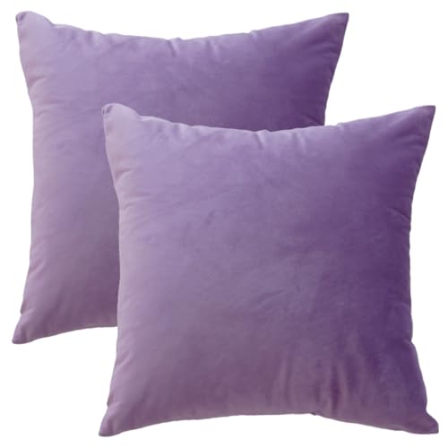 GONOVE Kissenbezug 45x45cm Dekorative Wurf Kissenbezug 2er Set Samt Weiche Kissenbezüge Dekokissenbezug Sofakissen Couchkissen Kissenhülle für Wohnzimmer Sofa Schlafzimmer von GONOVE
