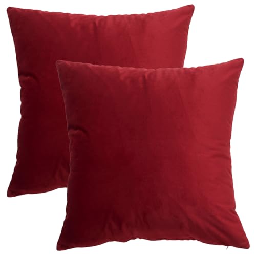 GONOVE Kissenbezug 50x50cm Dekorative Wurf Kissenbezug 2er Set Samt Weiche Kissenbezüge Dekokissenbezug Sofakissen Couchkissen Kissenhülle für Wohnzimmer Sofa Schlafzimmer GONOVE Kissenbezug 50x50cm Dekorative Wurf Kissenbezug 2er Set Samt Weiche Kissenbezüge Dekokissenbezug Sofakissen Couchkissen Kissenhülle für Wohnzimmer Sofa Schlafzimmer von GONOVE