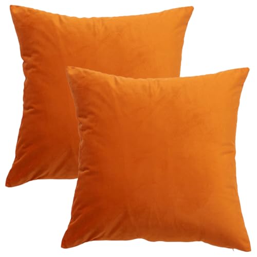 GONOVE Kissenbezug 50x50cm Dekorative Wurf Kissenbezug 2er Set Samt Weiche Kissenbezüge Dekokissenbezug Sofakissen Couchkissen Kissenhülle für Wohnzimmer Sofa Schlafzimmer von GONOVE