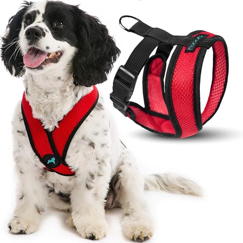 Gooby Comfort X Hundegeschirr zum Ziehen über den Kopf, kein Ziehen, erstickungsfreier X-Rahmen, für unterwegs, für mittelgroße, kleine Hunde, für Innen- und Außenbereich, Rot, Größe M von GOOBY