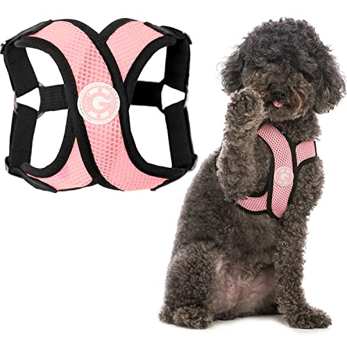 Gooby - Comfort X Step-In Hundegeschirr, Würgefrei, kleines Hundegeschirr mit Mikro-Wildlederbesatz und patentiertem X-Rahmen, Pink, Größe L von GOOBY