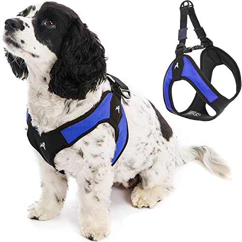 Gooby - Escape Free Easy Fit Hundegeschirr, kleines Hundegeschirr für Hunde, die ihrem Geschirr gerne entfliehen, Blau, XS von GOOBY