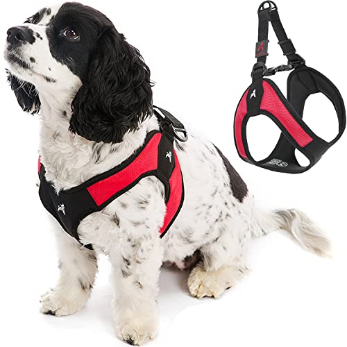 Gooby - Escape Free Easy Fit Hundegeschirr, kleines Hundegeschirr für Hunde, die ihrem Geschirr gerne entfliehen, Rot, Größe L Gooby - Escape Free Easy Fit Hundegeschirr, kleines Hundegeschirr für Hunde, die ihrem Geschirr gerne entfliehen, Rot, Größe L von GOOBY
