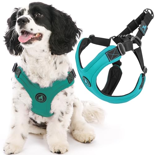 Gooby - Escape Free Sport Harness, Small Dog Step-In Neoprene Harness for Dogs That Like to Escape Their Harness, Turquoise, Medium von GOOBY