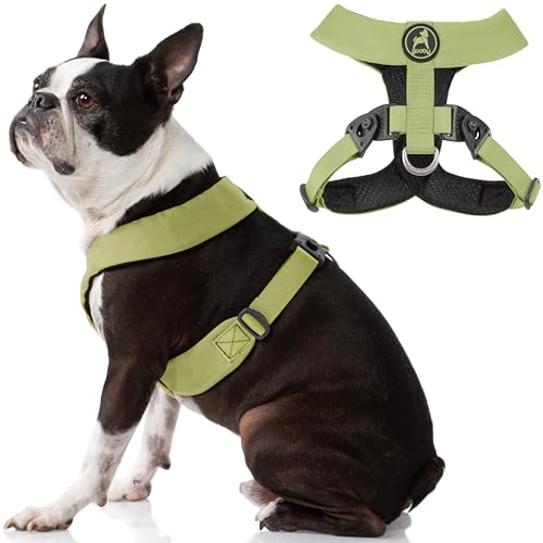 Gooby Comfort X Harness Dual Snap,Grün, Large,No Pull Kleines Hundegeschirr mit Drehschnallen und patentiertem Choke-Free X Rahmen,Hundegeschirr für mittelgroße Hunde kein Ziehen und kleine Hunde von GOOBY