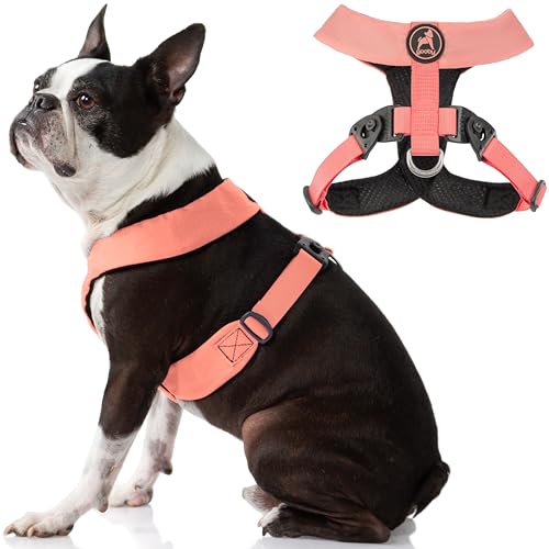 Gooby Comfort X Harness Dual Snap - Rosa, Groß - No Pull Kleines Hundegeschirr mit Drehschnallen und patentiertem Choke-Free X Rahmen - Hundegeschirr für mittelgroße Hunde kein Ziehen und kleine Hunde von GOOBY