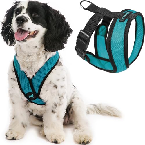 Gooby Comfort X Head in Harness - Türkis, Patentierter Erstickungsfreier X-Rahmen - Unterwegs Hundegeschirr für mittelgroße Hunde kein Ziehen, kleine Hunde für drinnen und draußen, X-Large (20-30 lbs) von GOOBY