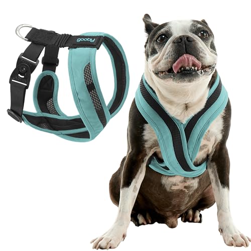 Gooby Comfort X One Hundegeschirr – Head-in-Hundegeschirr für kleine und mittelgroße Hunde, ausbruchfrei und erstickungsfrei, atmungsaktives Netzgewebe, stoßdämpfend, einfache Schnapp- und von GOOBY
