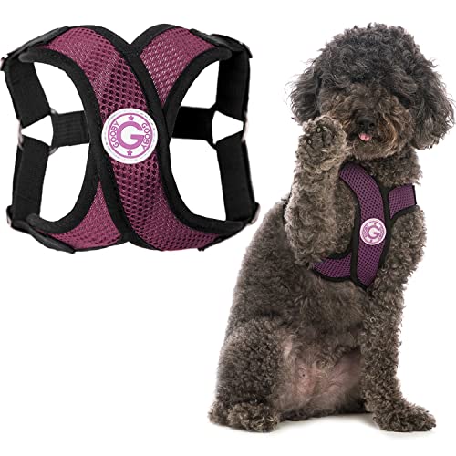 Gooby - Comfort X Step-in Harness, Choke Free Small Dog Harness with Micro Suede Trimming and Patented X Frame, Purple, Medium von GOOBY