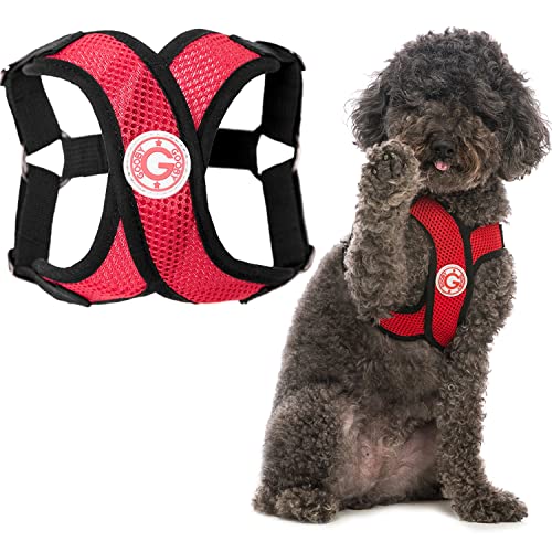 Gooby - Comfort X Step-in Harness, Choke Free Small Dog Harness with Micro Suede Trimming and Patented X Frame, Red, Large von GOOBY