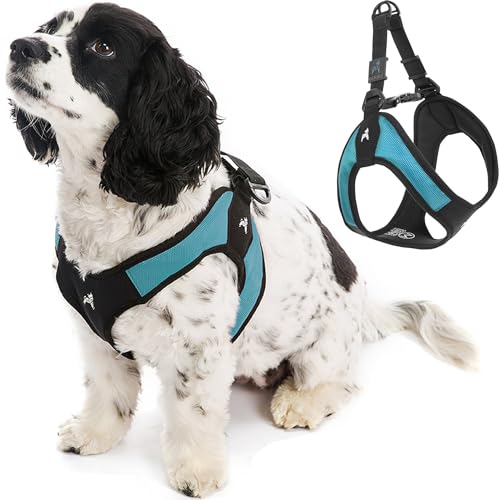 Gooby Escape Free Easy Fit Hundegschirr, kein Ziehen, patentiert, mit Schnellverschluss-Schnalle, Geschirr für unterwegs, für kleine oder mittelgroße Hunde, Türkis, Größe L von GOOBY