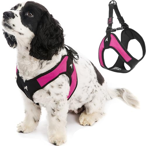 Gooby - Escape Free Easy Fit Hundegeschirr, kleines Hundegeschirr für Hunde, die ihrem Geschirr gerne entfliehen, Hot Pink, Größe S von GOOBY