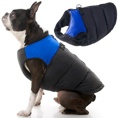 Gooby Gepolsterte Weste für Hunde, Blau, Größe XL, warme Fleece-Jacke mit Reißverschluss und Doppel-D-Ring-Leine – für den Winter, wasserabweisend, für kleine Hunde, Jungen und mittelgroße Hunde von GOOBY