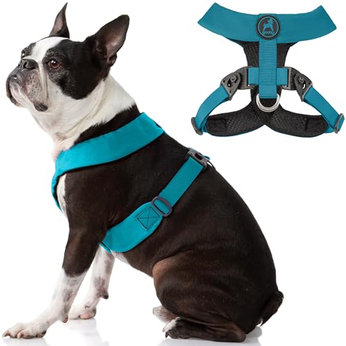 Gooby Hundegeschirr – Türkis, X-Large Comfort X Geschirr Dual Snap Drehschnallen mit patentiertem Würgefreien Rahmen Perfekt für unterwegs, No Pull kleine Hunde drinnen und draußen von GOOBY