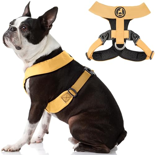 Gooby Hundegeschirr – gelb, X-Large Comfort X Geschirr Dual Snap Drehschnallen mit patentiertem Würgefreien Rahmen Perfekt für unterwegs, No Pull kleine Hunde drinnen und draußen von GOOBY