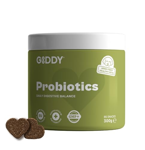 Gooddy – Probiotische & Präbiotische Snacks für Hunde, 85 Stück (300 g) – Mit Vitamin B12 & B9, Glutamin & Zink – Unterstützt Verdauung, Darmflora, Darmschleimhaut & Immunsystem – Gegen Durchfall von GOODDY PETS