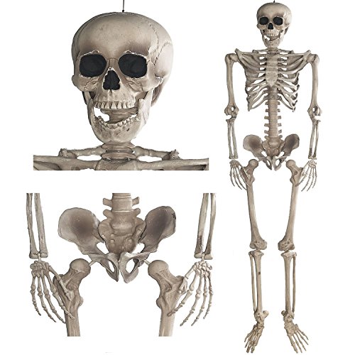 GOODS+GADGETS Deko Skelett 160 cm - Party & Halloween Dekoration Ganzkörper Horror Skeleton von GOODS+GADGETS