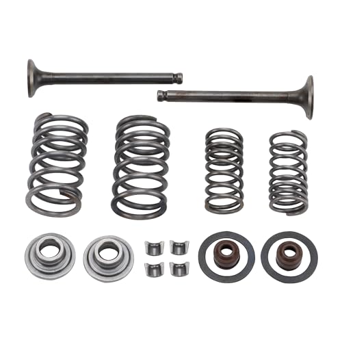 GOOFIT Motorrad-Ventilbaugruppe Ansaugventile Intake Valve and Exhaust Valve Ansaug- und Auspuffventilfedern Abgasventile Spindeldichtungen Ersatz für GY6 50cc ATV Quad Dirtbike & Go-Kart von GOOFIT